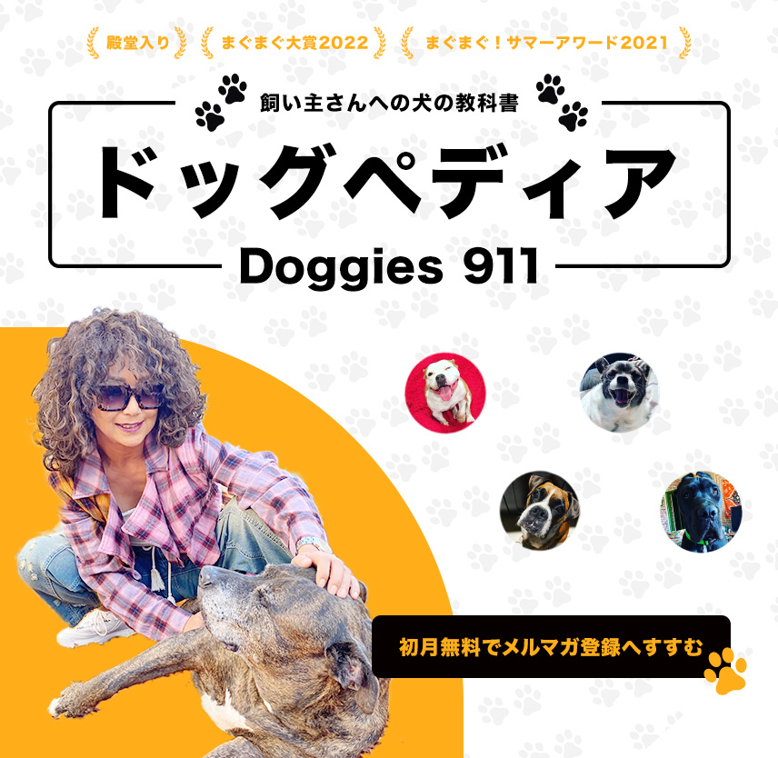 ドッグペディア・Doggies 911