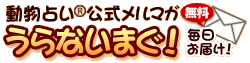�����肢(R)���������}�K����Ȃ��܂��I���������ł��͂��I
