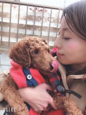 保護犬のお家Lima o mama Takayo