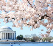 中東不安でドル円相場は大荒れ…米雇用統計でさらに動く？堅実で有効なトレード戦略＝ゆきママ