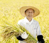 ４月に迫る「種子法廃止」は、なぜ異例のスピードで成立したのか？