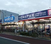 東京を攻めるウエルシアと、窮地に立つマツキヨ。次にドラッグストア覇権を握るのは？＝佐藤昌司