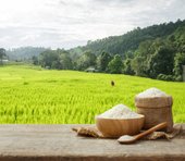 美味しい新米が届く、10万円以下で買える株主優待銘柄　5選【株主優待到着レポ】