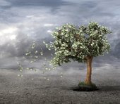 ようやく見えたバブルの正体、株高がまだ続くとしても経済は徐々に悪化していく…＝藤井まり子