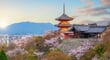 ソフトバンクが京都・清水寺に基地局設置。古都の「景観規制」はどうやって突破できたのか? ソフトバンクが京都・清水寺に基地局設置。古都の「景観規制」はどうやって突破できたのか?