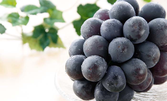 絶品フルーツからオリジナルティッシュまで！5月注目の優待情報はコチラ