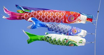 160501kodomonohi_eye