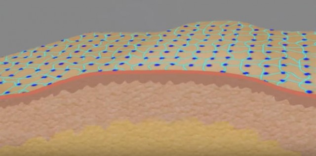 出典；Youtube（Massachusetts Institute of Technology [MIT] ）