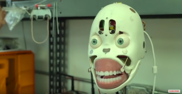 画像出典：YouTube（Super Deluxe）