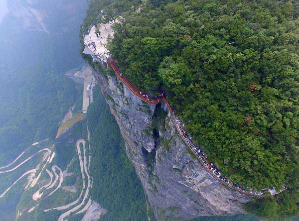 出典:design you trust