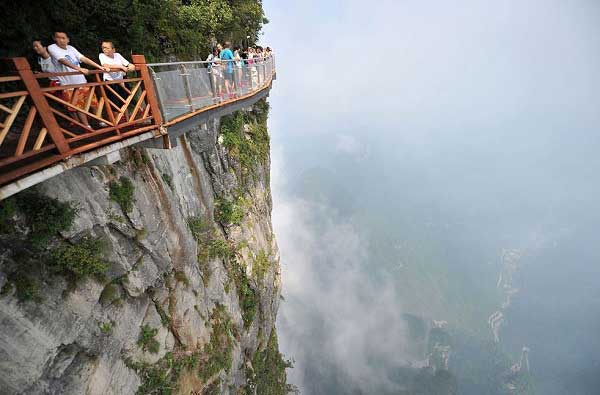 出典:design you trust