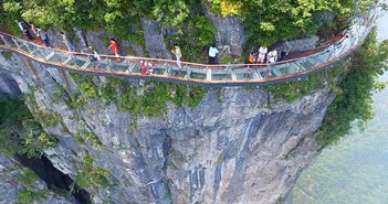 From design you trust