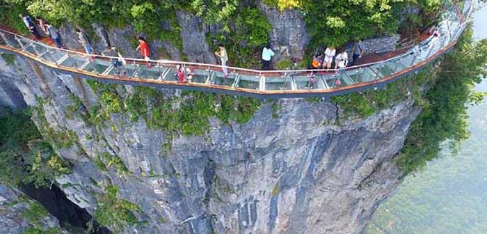 From design you trust