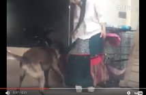 スケベ犬が「美女を一瞬で脱がせる」決定的瞬間をスロー映像で見てみよう! From Youtube