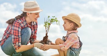 161006washinokeisen_eye