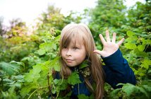 まだ強い。ドル円上値メドは116円前後に~各通貨ペンタゴンチャート分析=川口一晃 161212pentagon_eye