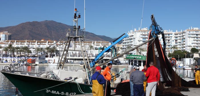 Philip Lange / Shutterstock.com