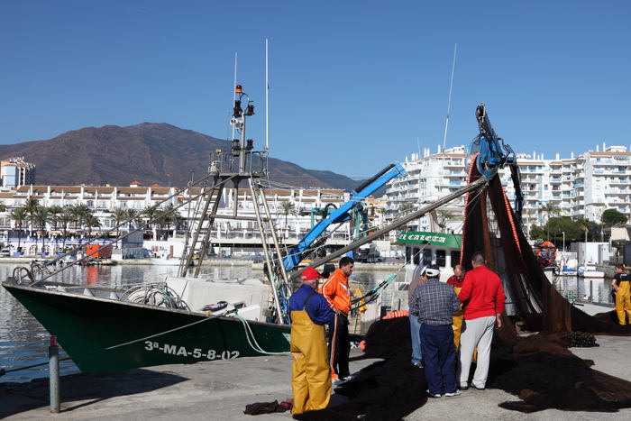 日本の漁港にも「ＩＴ化の波」…出港時間直前に見られる珍景って！？