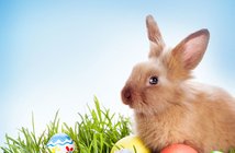 中国のおっさん発明家が「ウサギちゃんロボ」を開発完了!かなりキモイ 170420bunny_eye