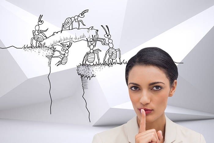 「ヒアリを蟻だと思ってるヤツは素人だ」今が旬のプロっぽいツイートまとめ