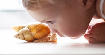 170723katatumuri_eye