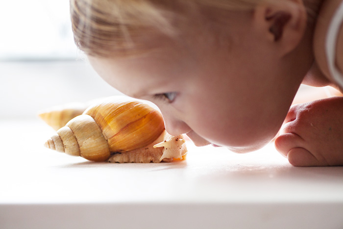 ３歳が作詞作曲した『かたつむりの首が取れた』の歌、サビからの展開が斬新すぎた！