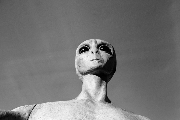 た、食べられるのかよーっ！？「名物どんぶり」に僕の心が折れたワケ