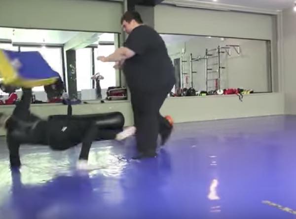 出典：YouTube（True Gym）