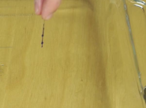 出典:YouTube(The Action Lab)