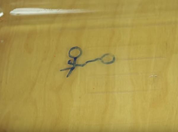 出典:YouTube(The Action Lab)