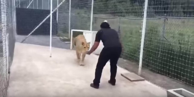 出典:YouTube(Twiinz)