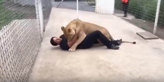 出典:YouTube(Twiinz)