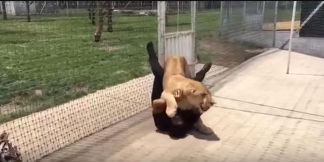 出典:YouTube(Twiinz)