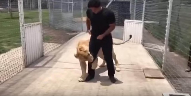 出典:YouTube(Twiinz)