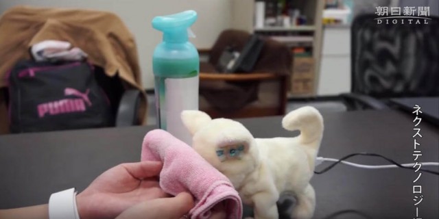 出典：YouTube（朝日新聞社）