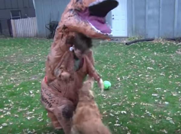 出典:YouTube(driline)