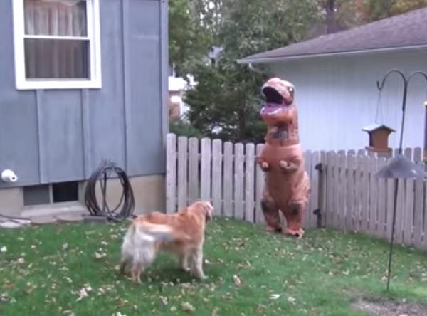 出典:YouTube(driline)