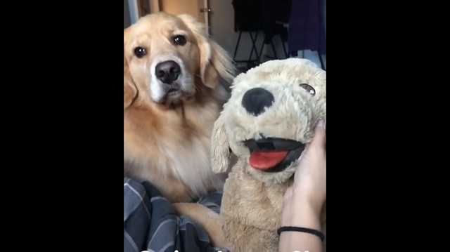 出典：YouTube（RM Videos）