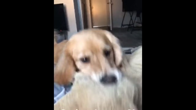 出典：YouTube（RM Videos）