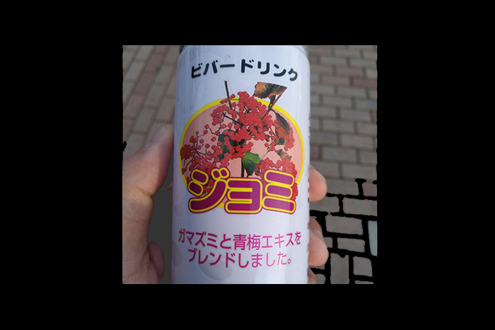 【想像力テスト】ネットで注目を集める「正体不明の缶ジュース」はどんな味？