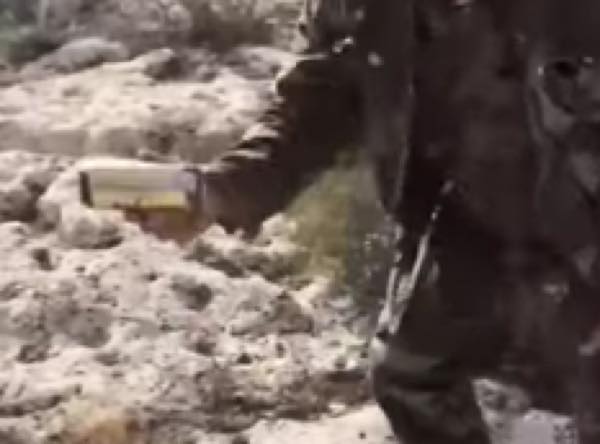 出典：YouTube（ozicoerei） 