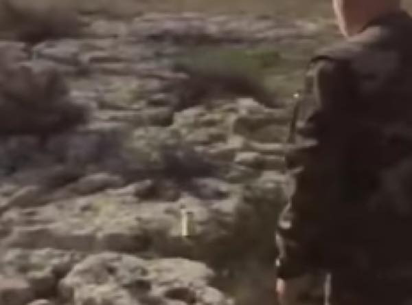 出典：YouTube（ozicoerei） 