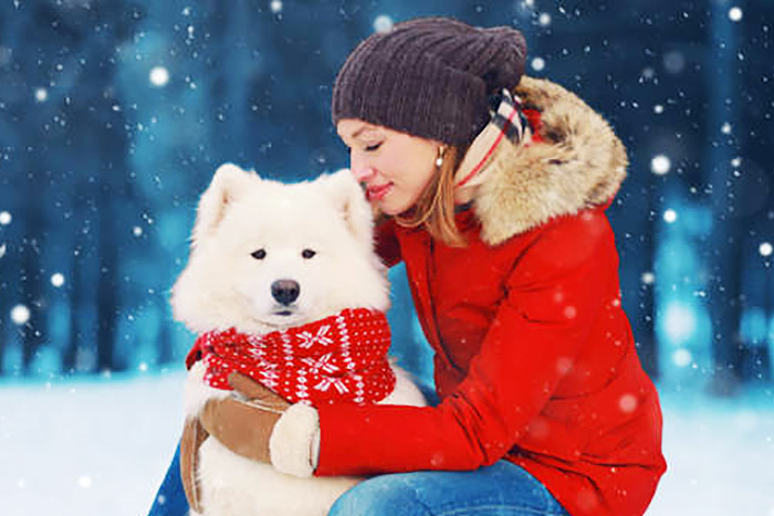 雪国出身のワンコ、南国に旅立つ ⇒「犬は○○○で丸くなる」意外な結果に