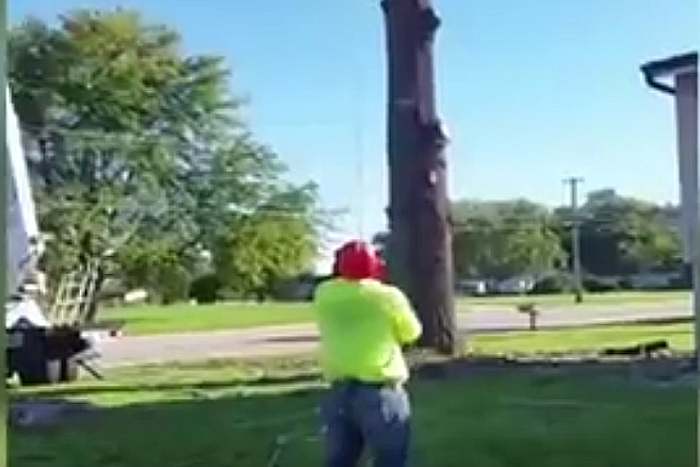 木の伐採中、空を飛ぶハメになったお父さん。その一部始終の撮影に成功！