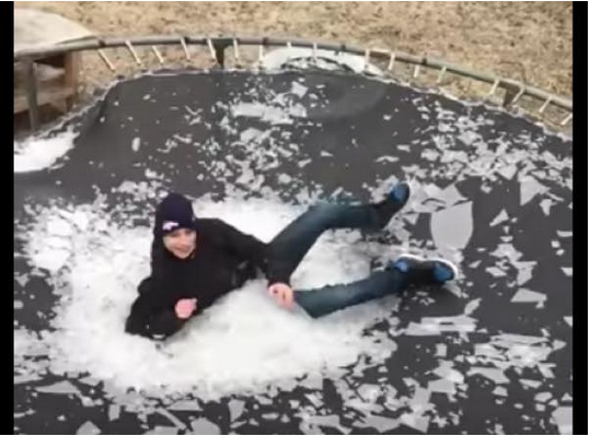 出典：YouTube（Michelle McNew）