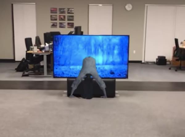  出典：YouTube（Abhishek Singh）