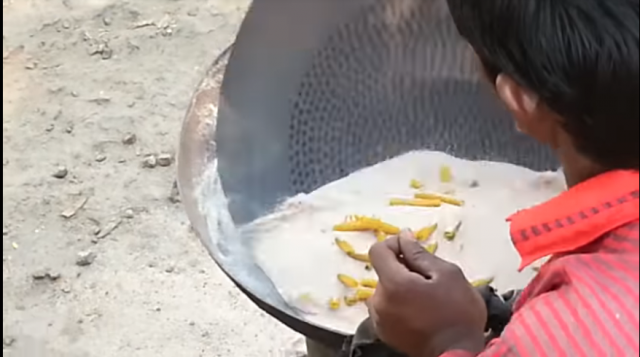 出典:YouTube(Radheesh V)