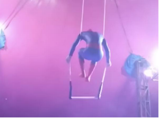 出典:YouTube(ViralHog)