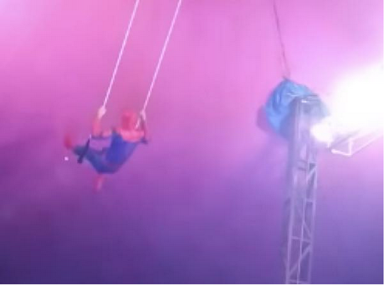 出典:YouTube(ViralHog)