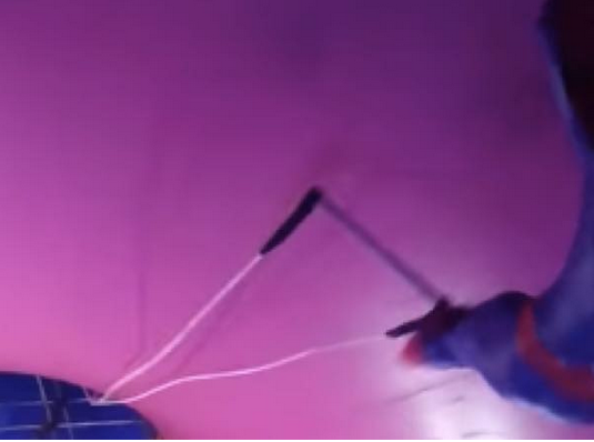 出典:YouTube(ViralHog)